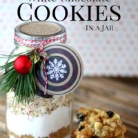 Cranberry White Chocolate Oatmeal Cookies in a Jar