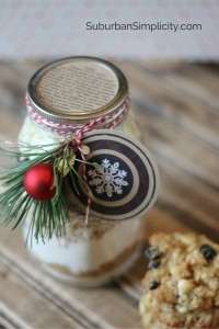 Cranberry White Chocolate Oatmeal Cookies in a Jar