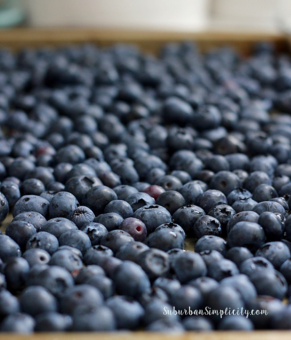 Fresh washed blueberries.