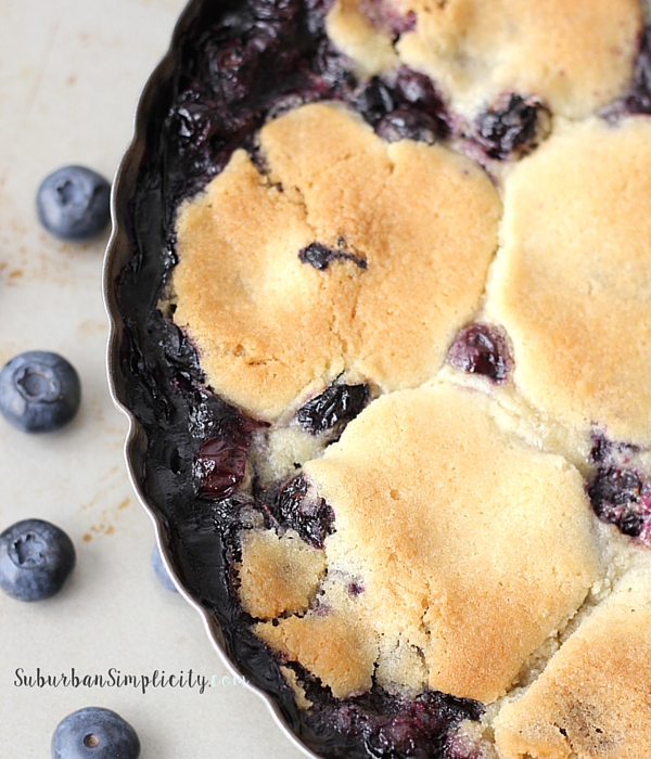 Blueberry dessert in Pie tin