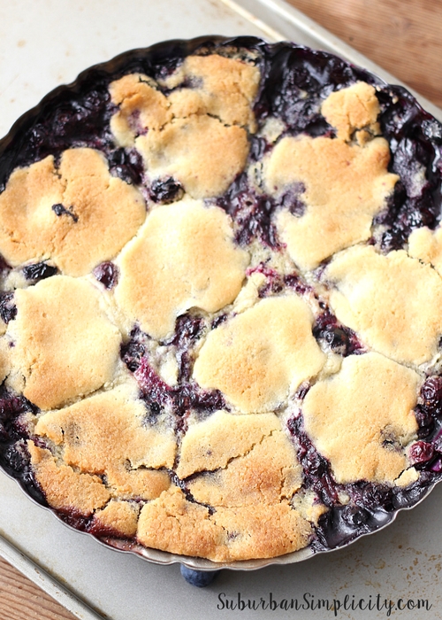Baked Blueberry Cobbler dessert in a pie tin with cookie dough topping