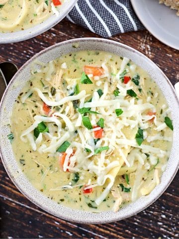 creamy chicken lasagna soup in a bowl.
