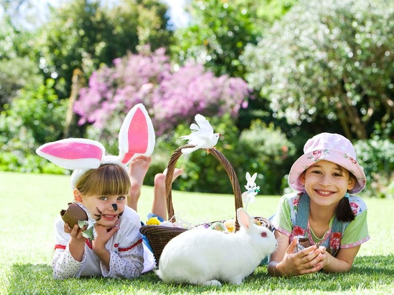 Easter Basket Ideas For Young Kids | Non Candy Easter Basket Ideas