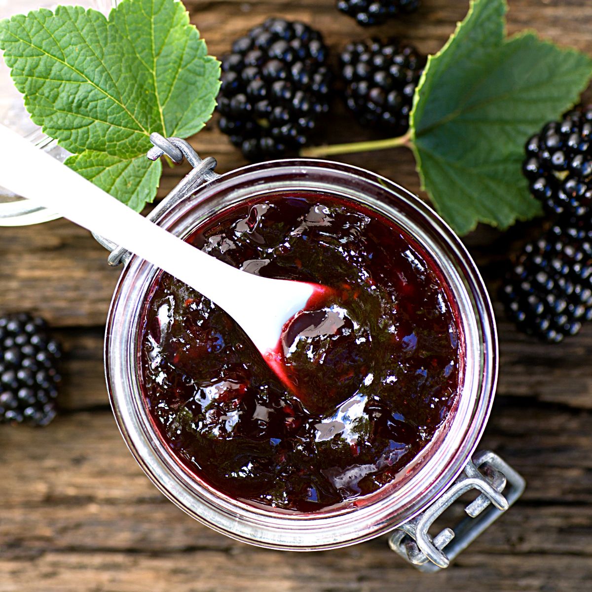 Blackberry Chia Seed Jam (low sugar) - Suburban Simplicity