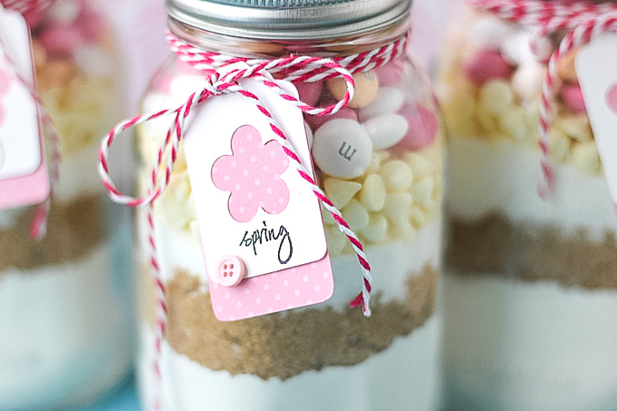 https://www.suburbansimplicity.com/wp-content/uploads/2019/02/Easter-Cookies-in-a-Jar-recipe-2.jpg