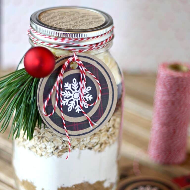 Cranberry White Chocolate Oatmeal Cookies In A Jar Suburban Simplicity