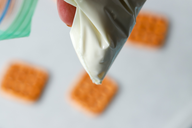 homemade plastic piping bag