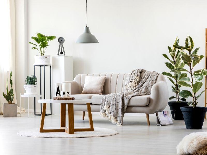 Feng shui decor ideas for your home