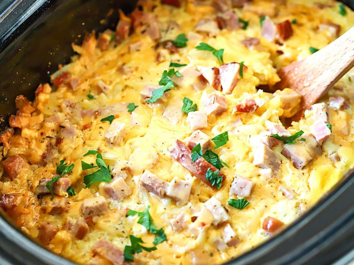 Slow cooker recipes: 14 of the best casseroles