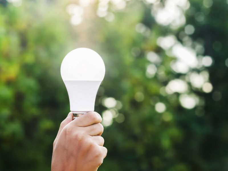 LED bulbs
