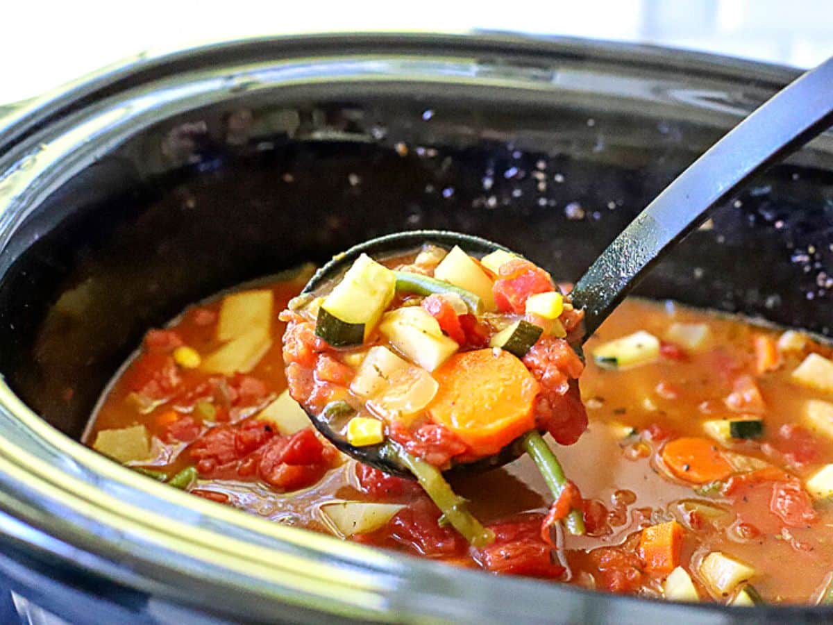 https://www.suburbansimplicity.com/wp-content/uploads/2020/12/Crock-Pot-Vegetable-Soup-1-1.jpg