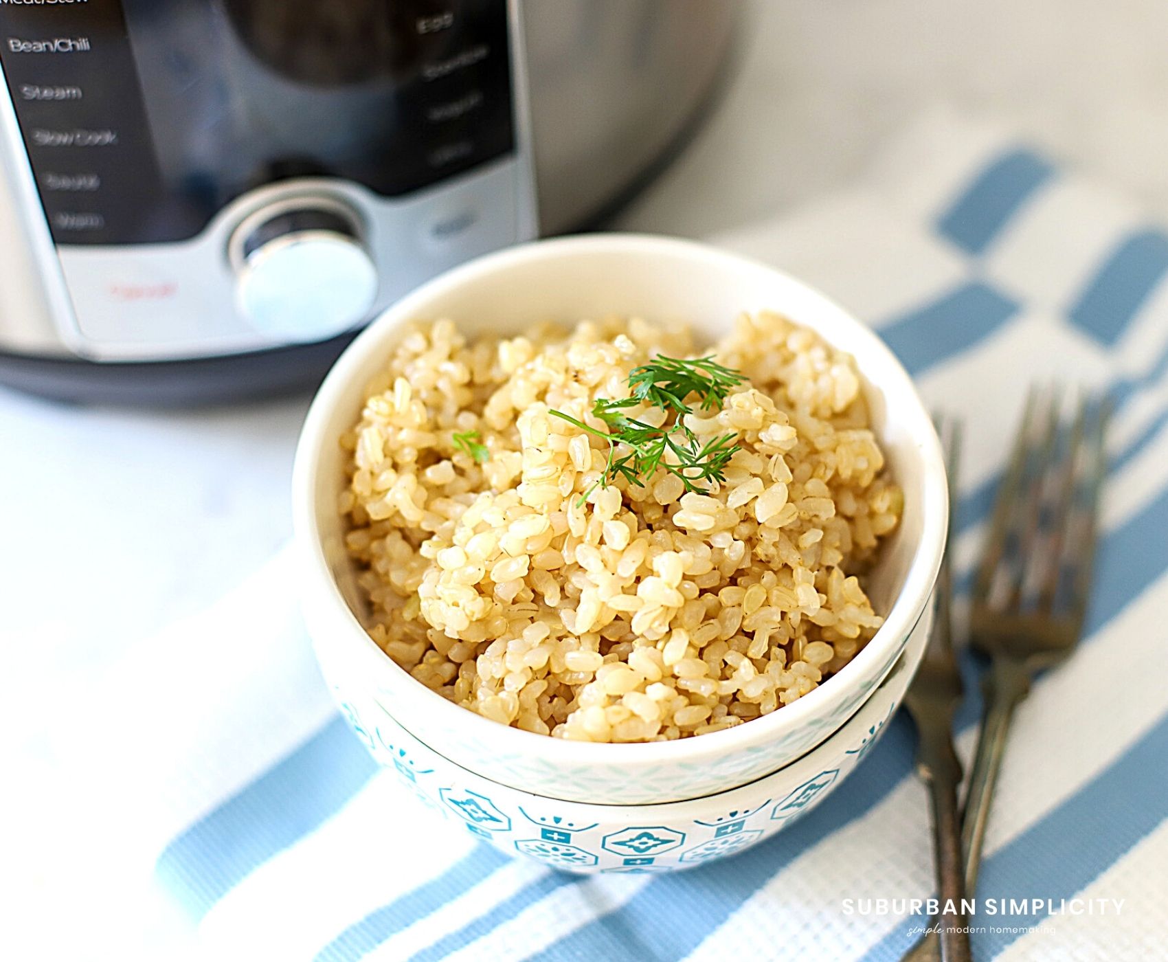 Instant Pot Brown Rice Recipe - The Forked Spoon