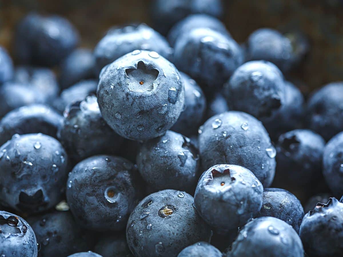 Washed blueberries.