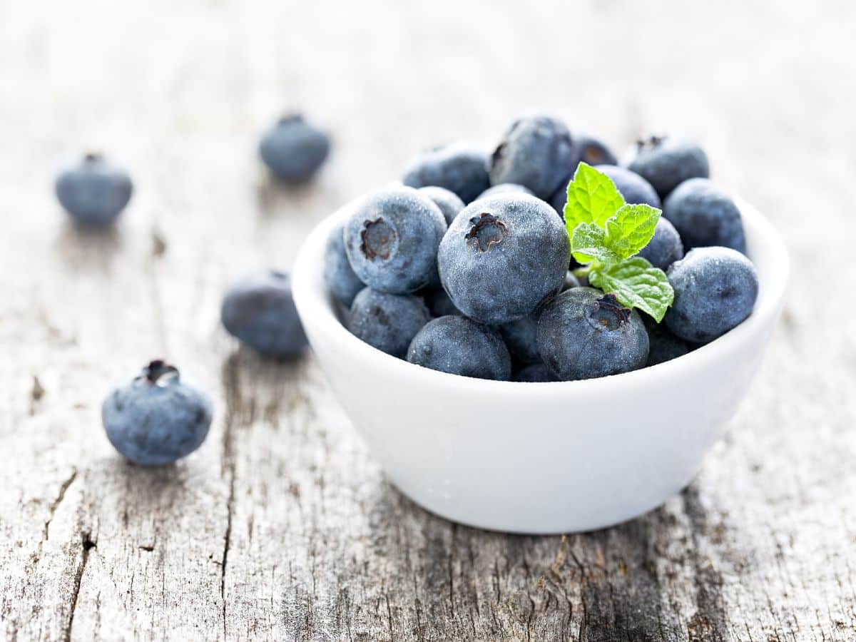 Blueberries in a bowl