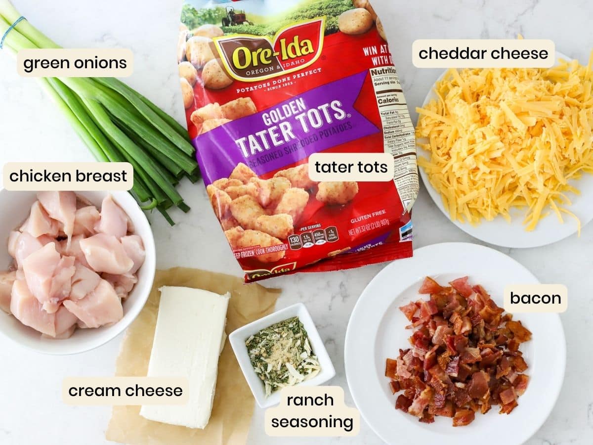 https://www.suburbansimplicity.com/wp-content/uploads/2023/05/ingredients-for-crockpot-chicken-tater-tot-casserole.jpg