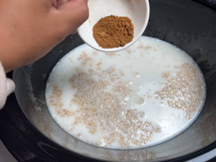 Cinnamon and pumpkin pie spice going into the crock pot